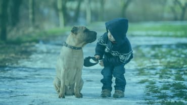 Santa's IHT Strategy - simple but effective?